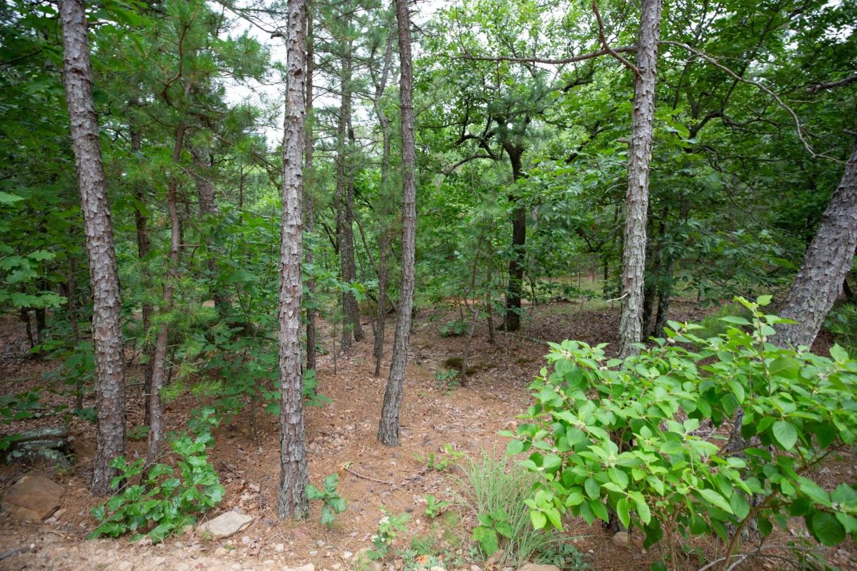 Decorative background for Eagle’s Nest Tract 84 image 13
