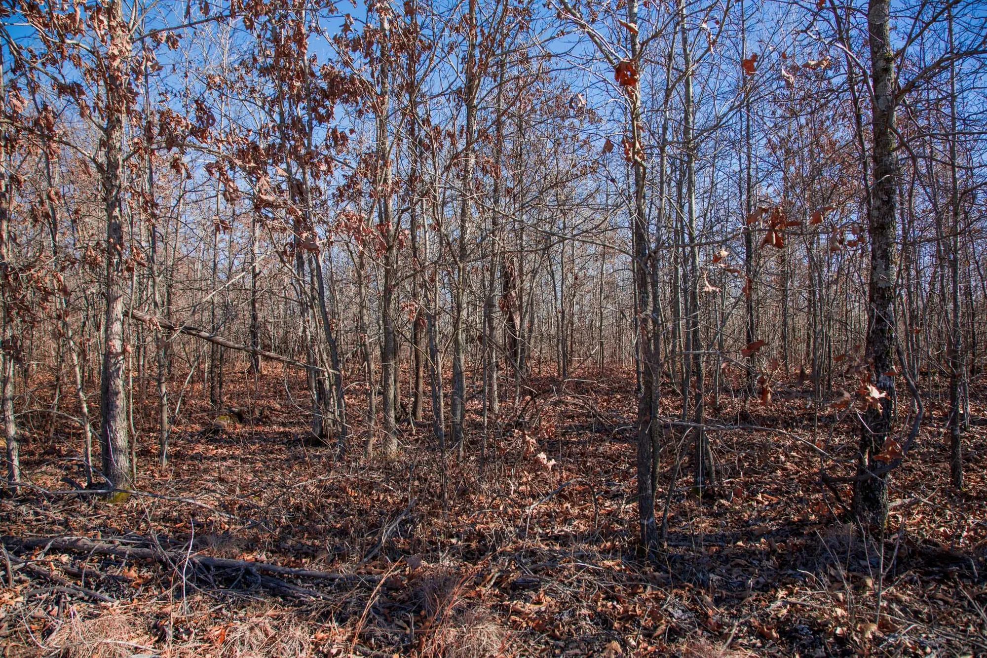 Buffalo Hills Tract 18
