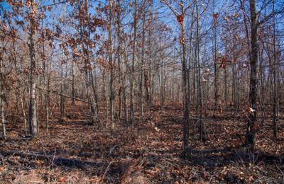 Buffalo Hills Tract 18