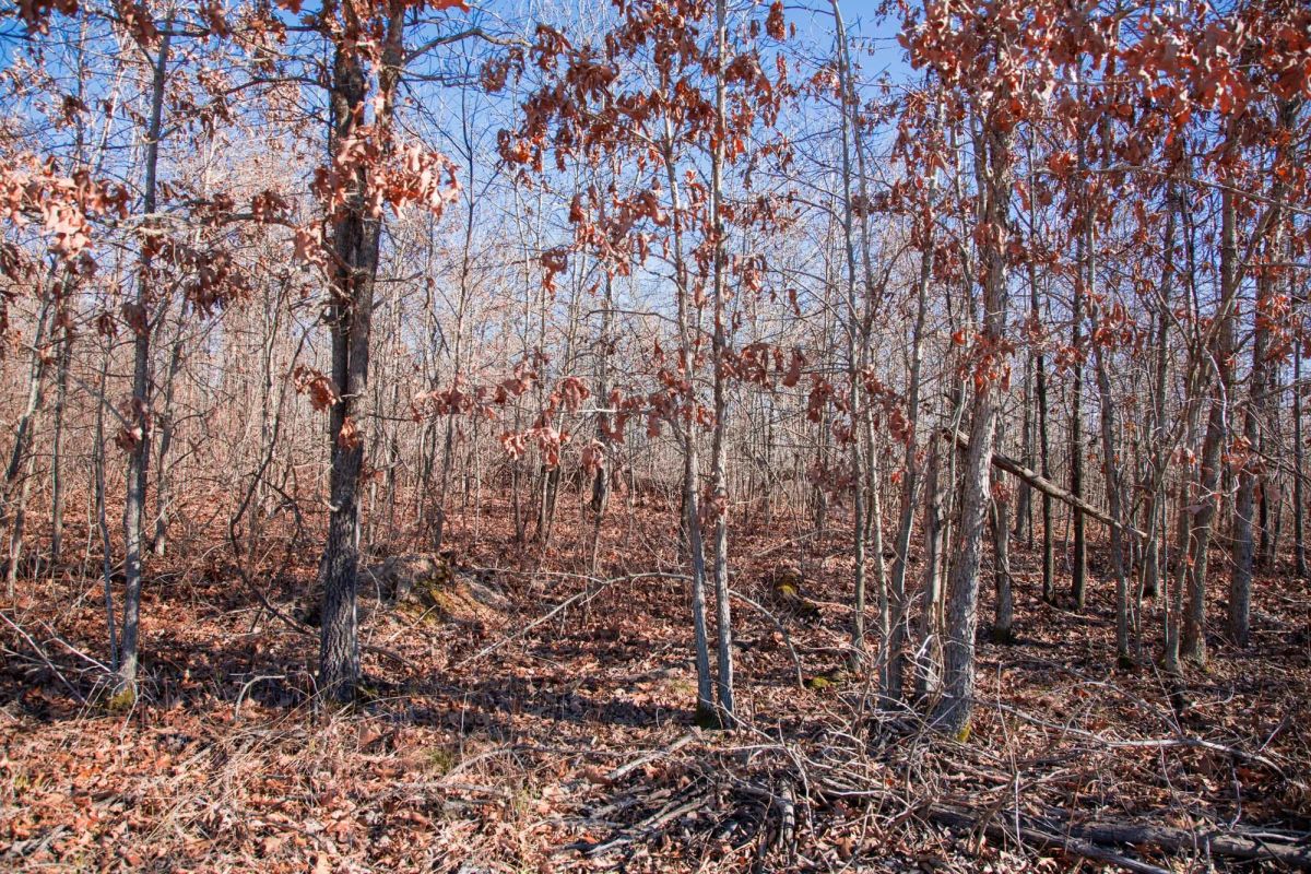 Buffalo Hills Tract 18 - Image 3