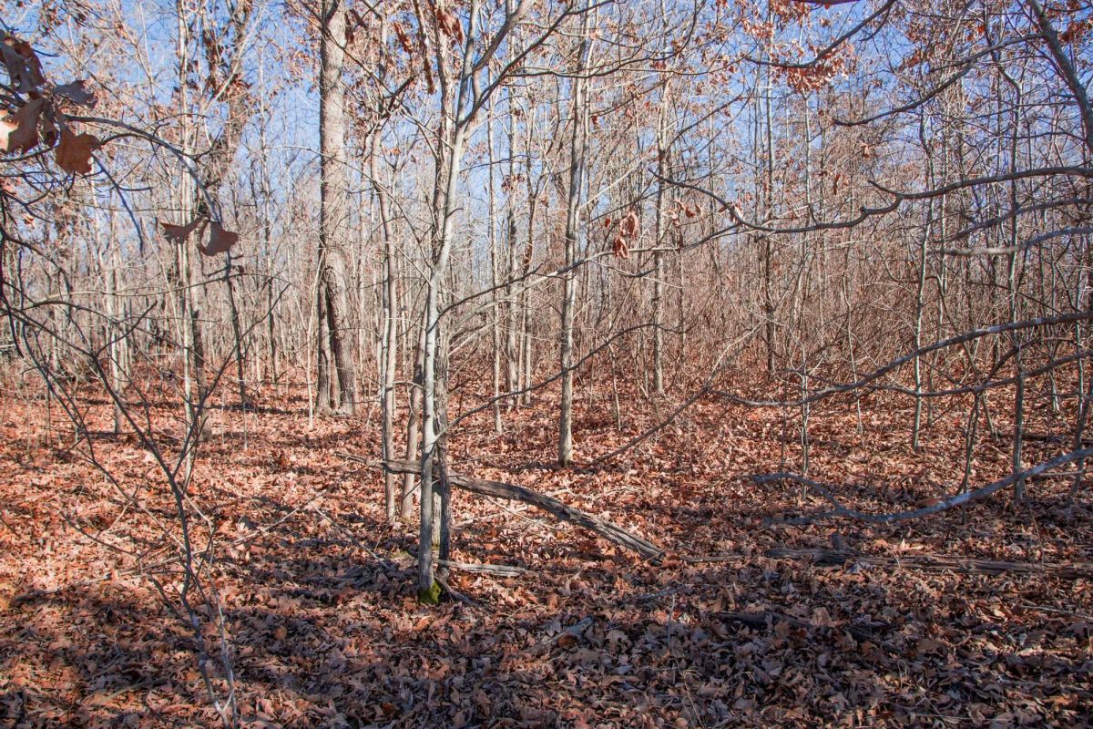Buffalo Hills Tract 18 - Image 4