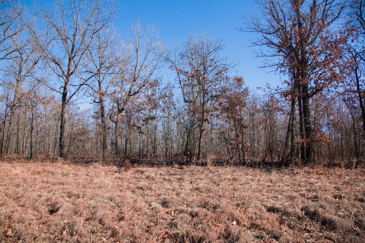 Decorative background for Buffalo Hills Tract 18 image 6