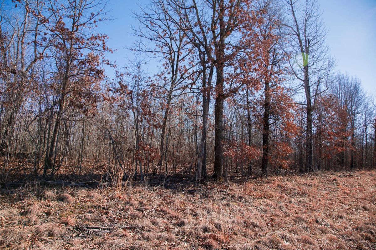 Decorative background for Buffalo Hills Tract 18 image 9