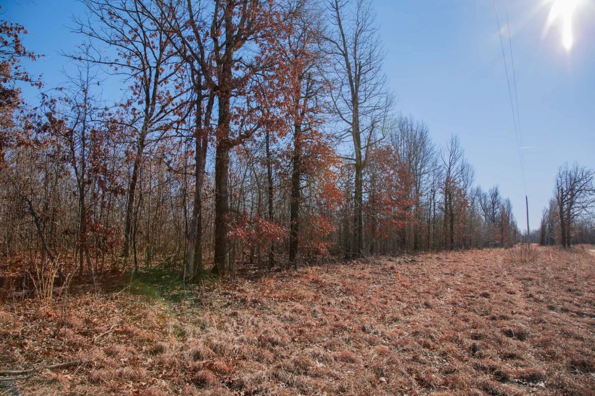 Decorative background for Buffalo Hills Tract 18 image 10
