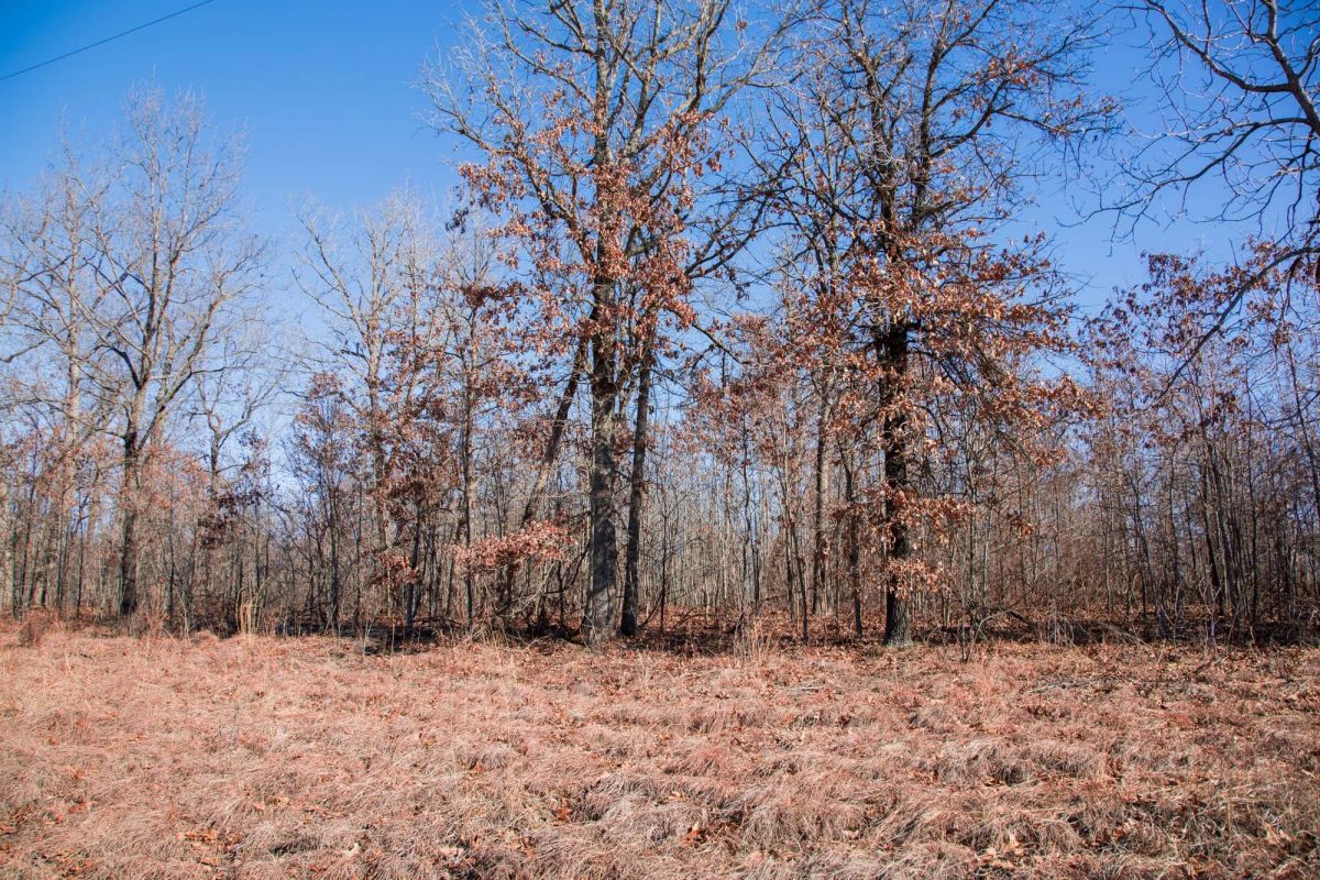 Decorative background for Buffalo Hills Tract 18 image 11