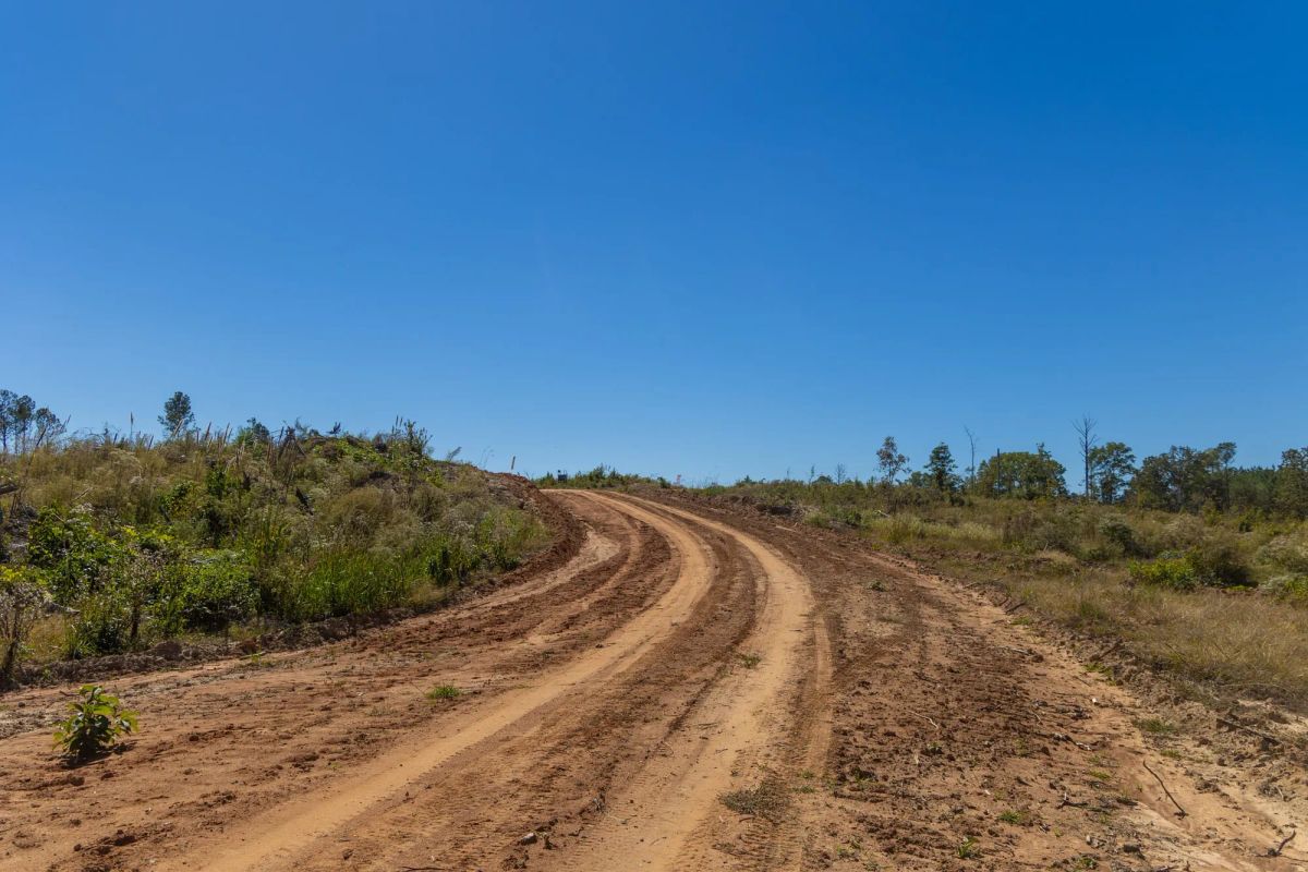 Meyer’s Ridge Tract 14 - Image 2
