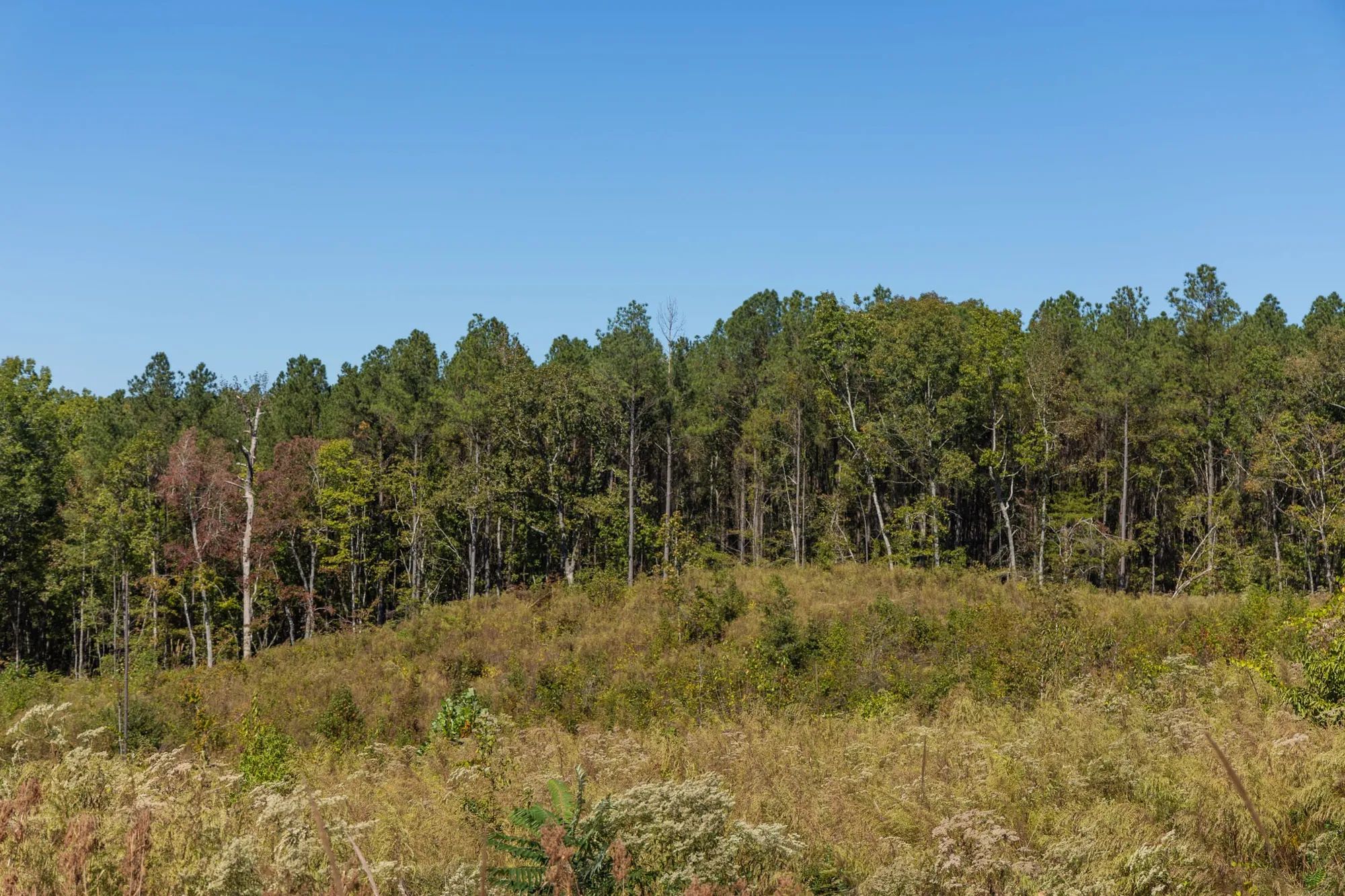 Meyer’s Ridge Tract 14 in Attala County, MS