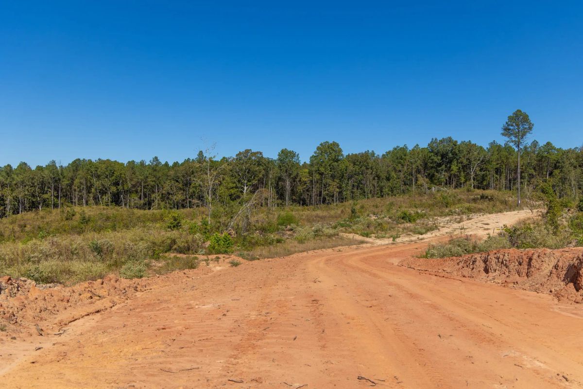 Decorative background for Meyer’s Ridge Tract 14 image 7