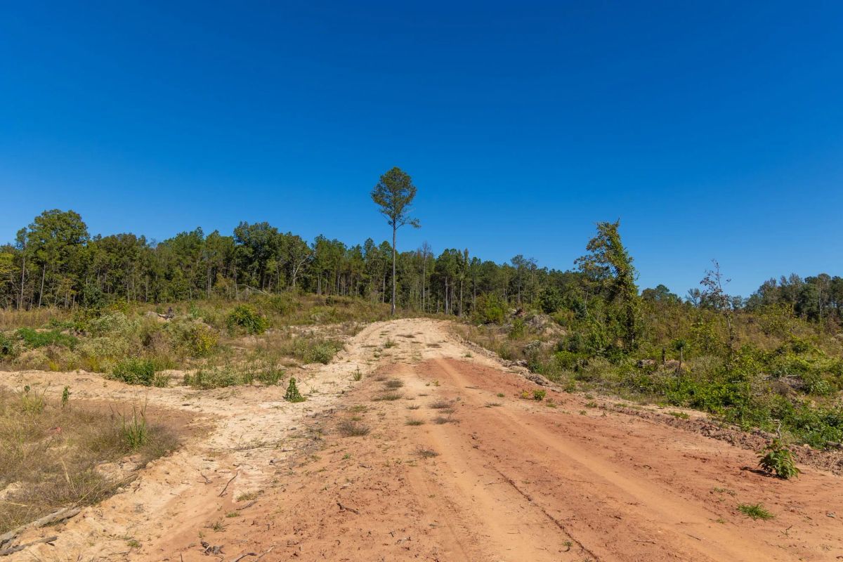 Decorative background for Meyer’s Ridge Tract 14 image 12