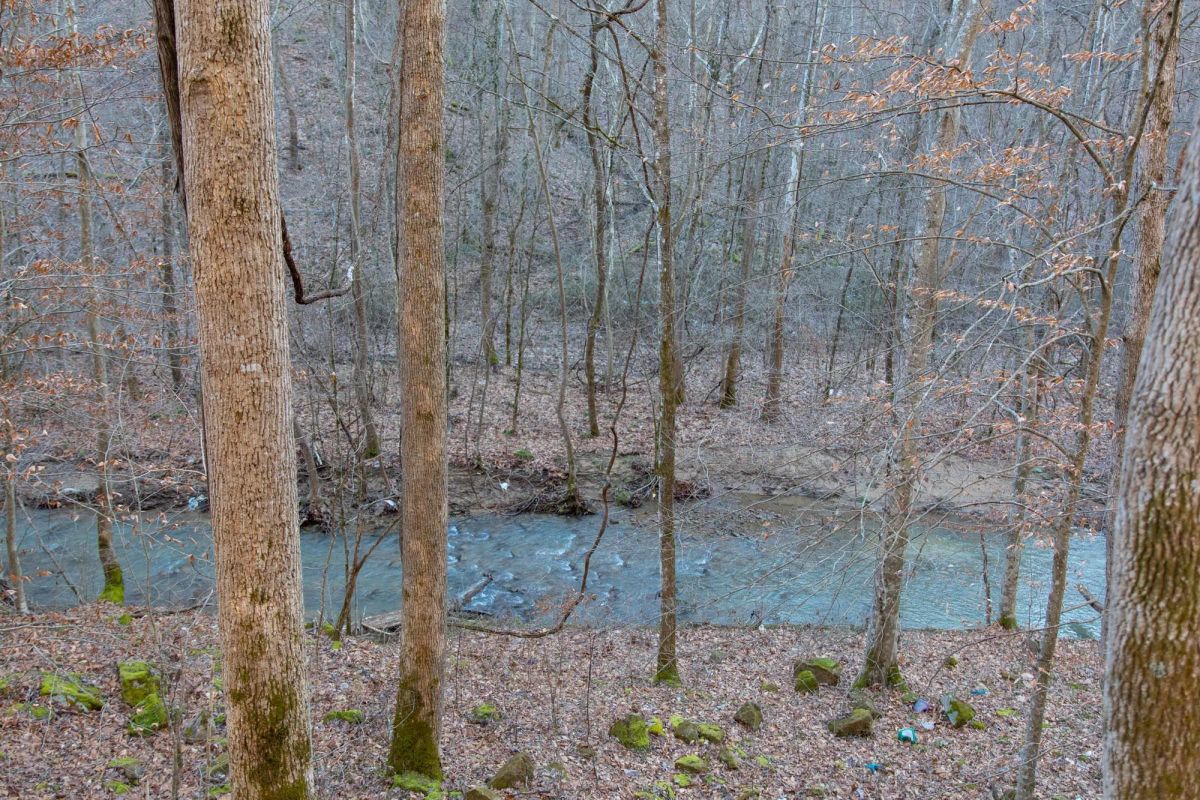 Decorative background for Blackstone Mountain Phase I Tract 3 image 5
