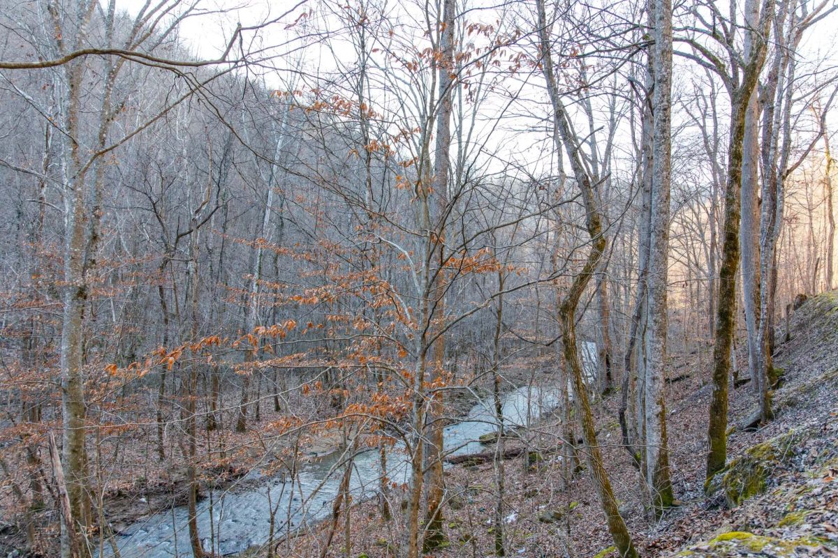 Decorative background for Blackstone Mountain Phase I Tract 3 image 6