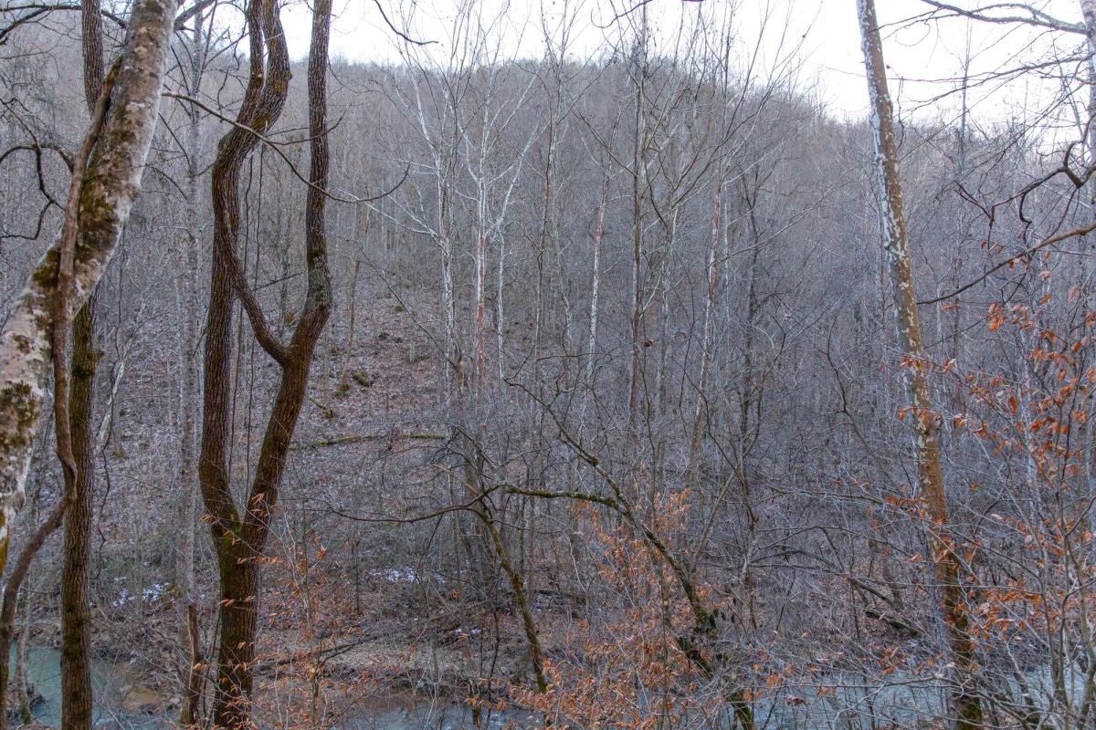 Decorative background for Blackstone Mountain Phase I Tract 3 image 8