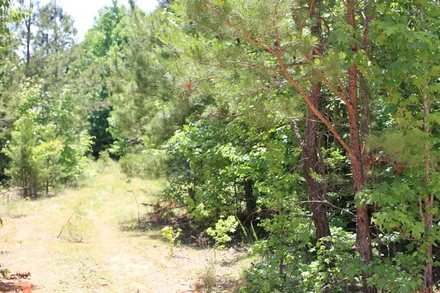Hickory Hill Ranch Tract 10 in Decatur County, TN