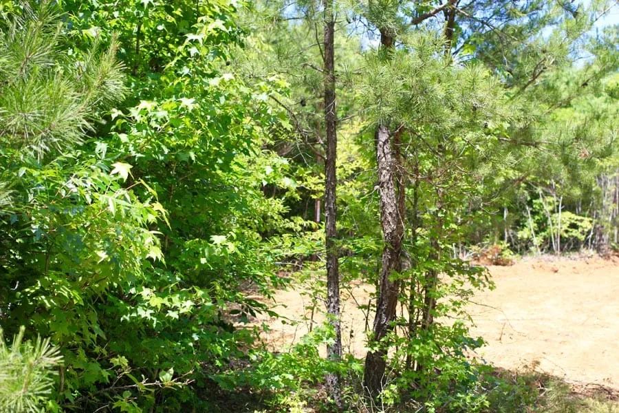 Hickory Hill Ranch Tract 10 in Decatur County, TN