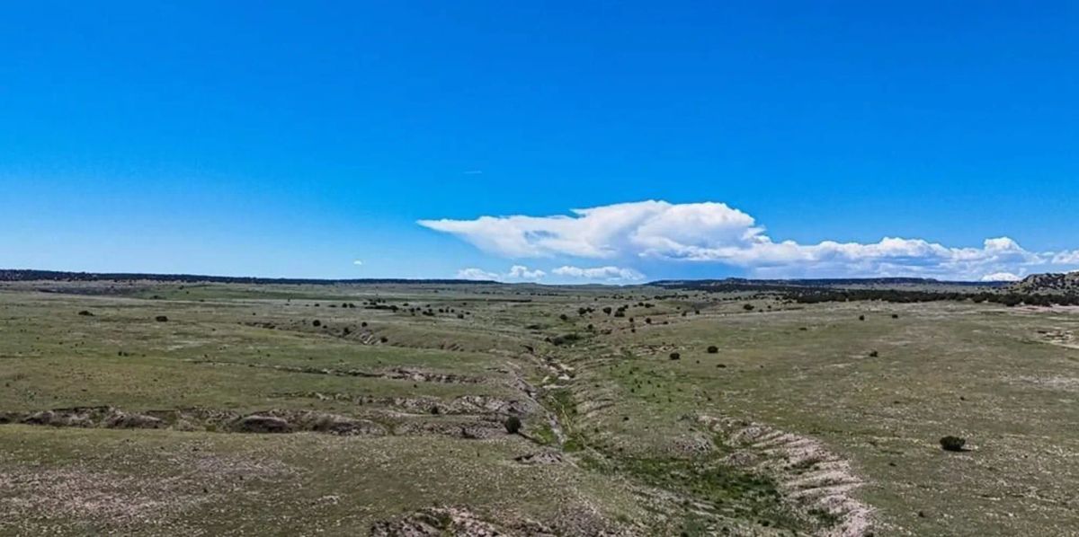 Decorative background for Colorado City Tract 409 image 7