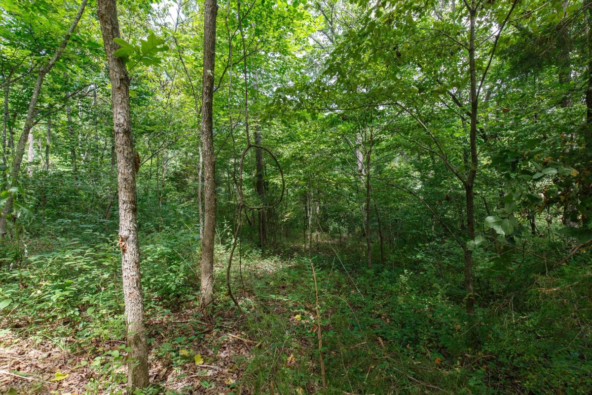 Spring Lake Plat 6 Tract 57 - Main image