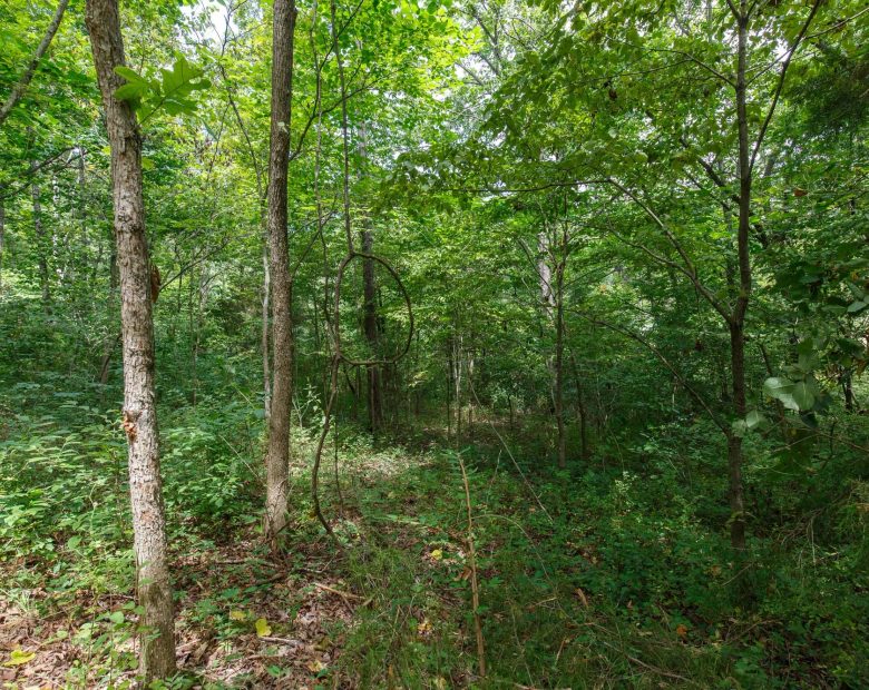 Spring Lake Plat 6 Tract 57 in Miller County, MO