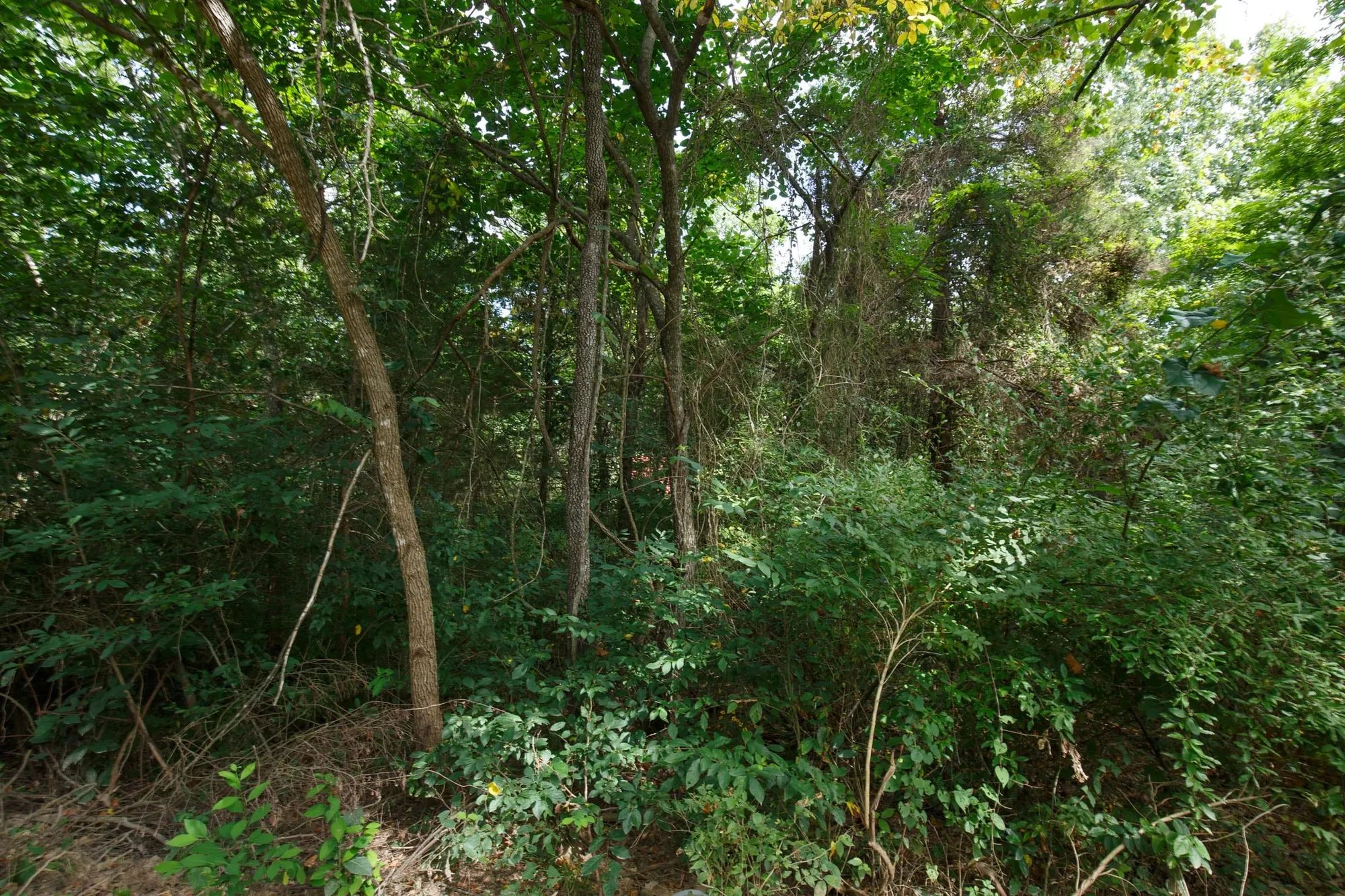 Spring Lake Plat 6 Tract 57 in Miller County, MO