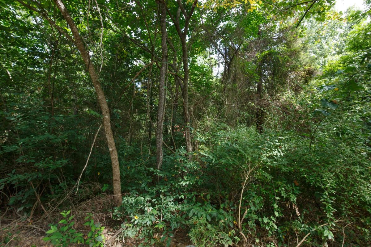 Spring Lake Plat 6 Tract 57 - Image 3