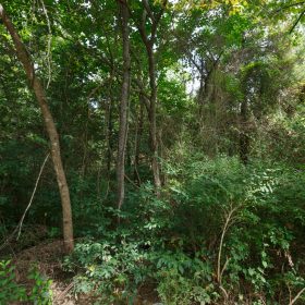 Spring Lake Plat 6 Tract 57 in Miller County, MO