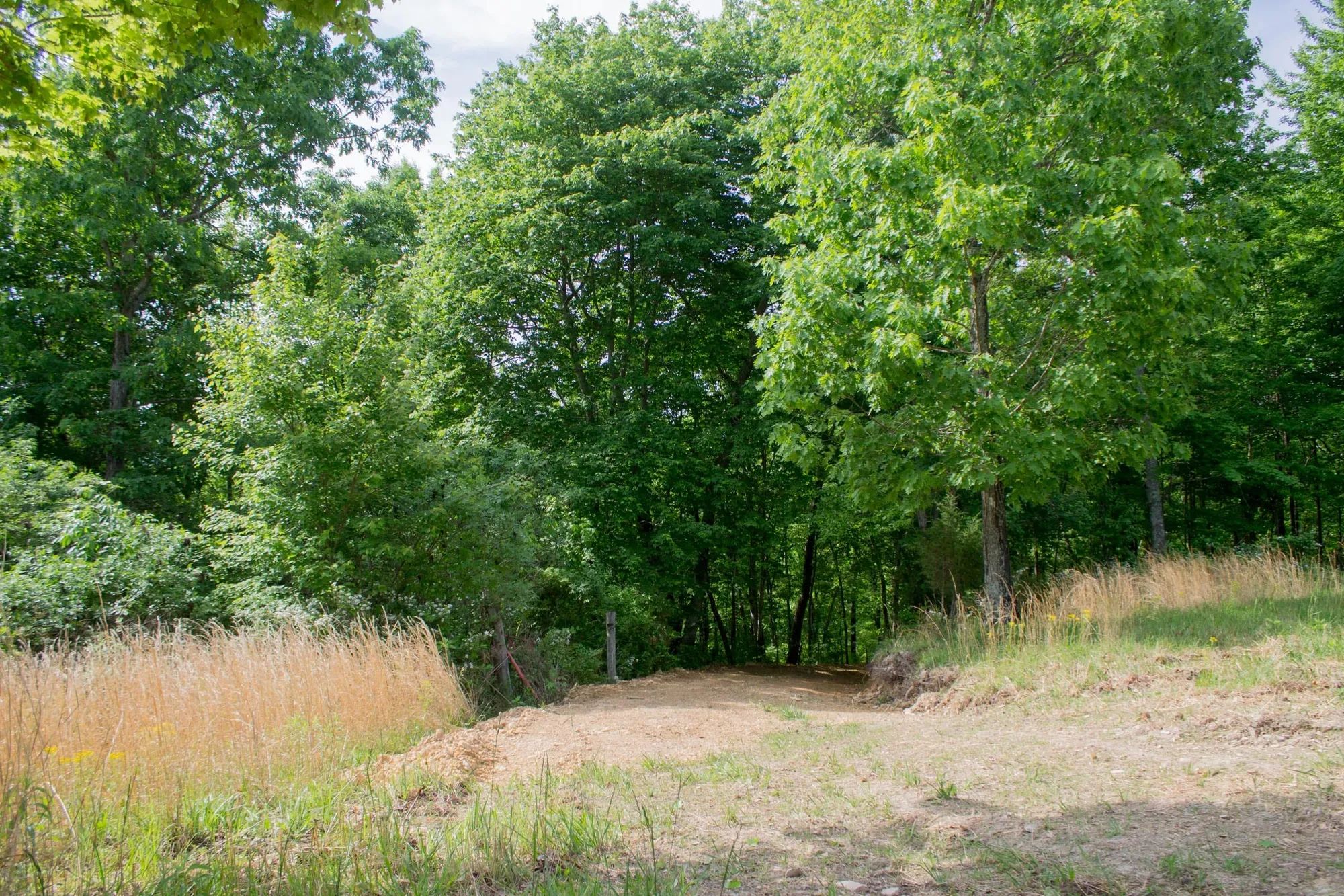 Laurel Ridge Tract 2 in Casey County, KY