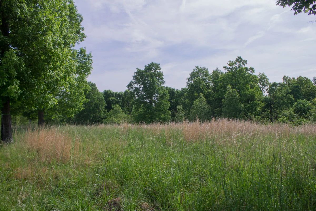 Decorative background for Laurel Ridge Tract 2 image 9