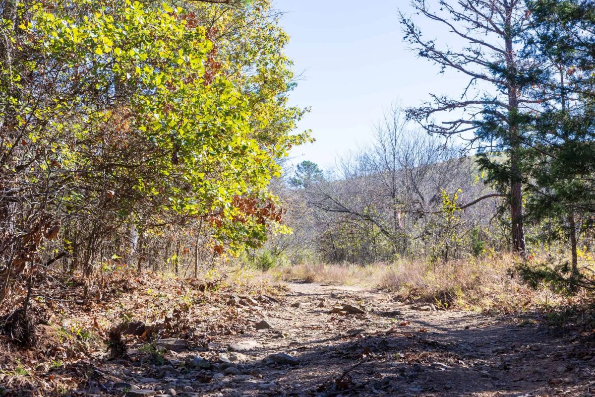 Stone Bridge Reserve Tract 10 - Main image