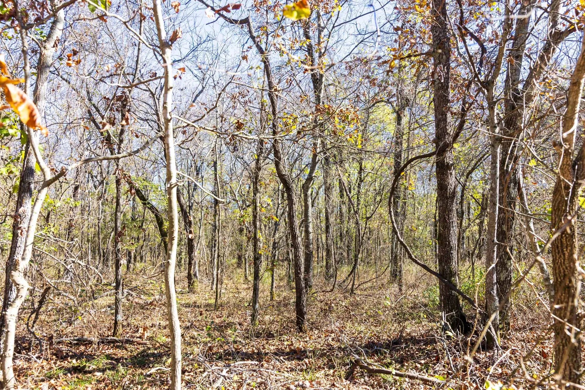 Stone Bridge Reserve Tract 10 in Haskell County, OK