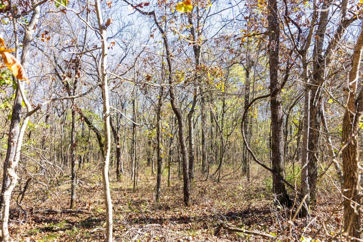 Stone Bridge Reserve Tract 10 - Image 2