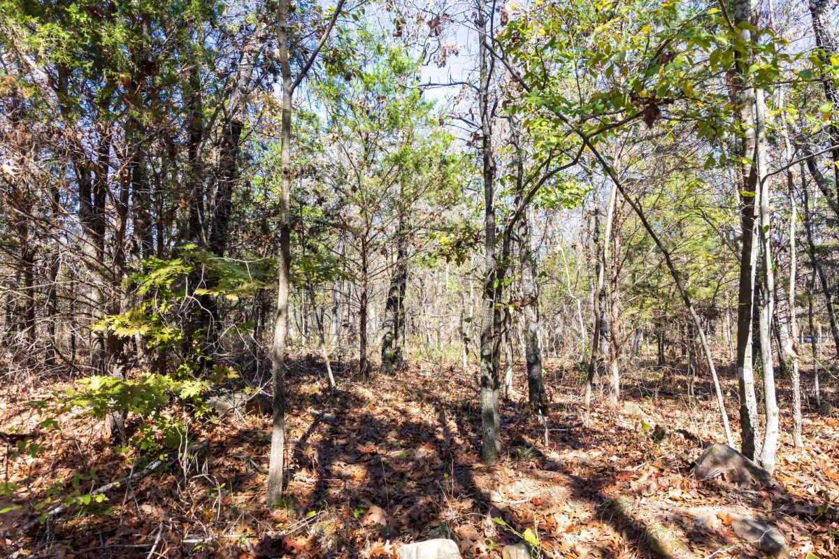 Stone Bridge Reserve Tract 10 - Image 4