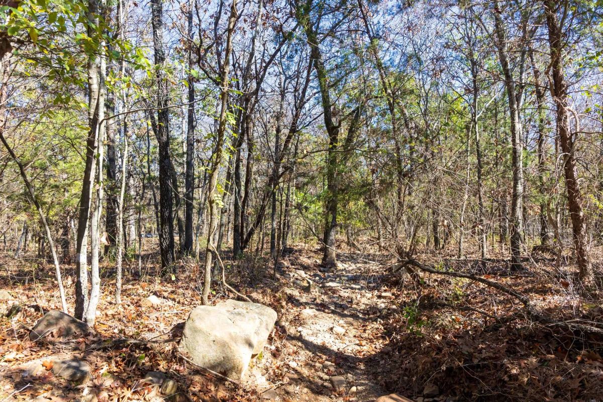 Decorative background for Stone Bridge Reserve Tract 10 image 6