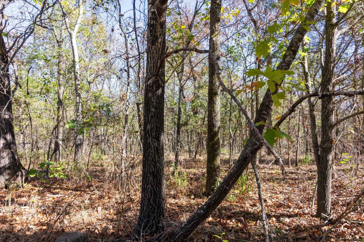 Decorative background for Stone Bridge Reserve Tract 10 image 7