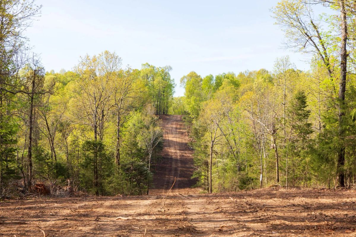 Autumnwood Tract 13 - Main image