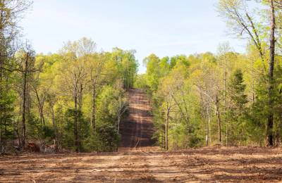 Autumnwood Tract 13