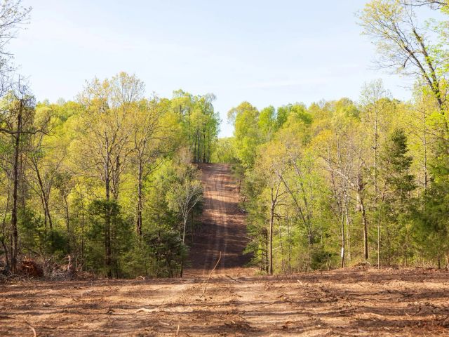 Autumnwood Tract 13 in Fulton County, AR
