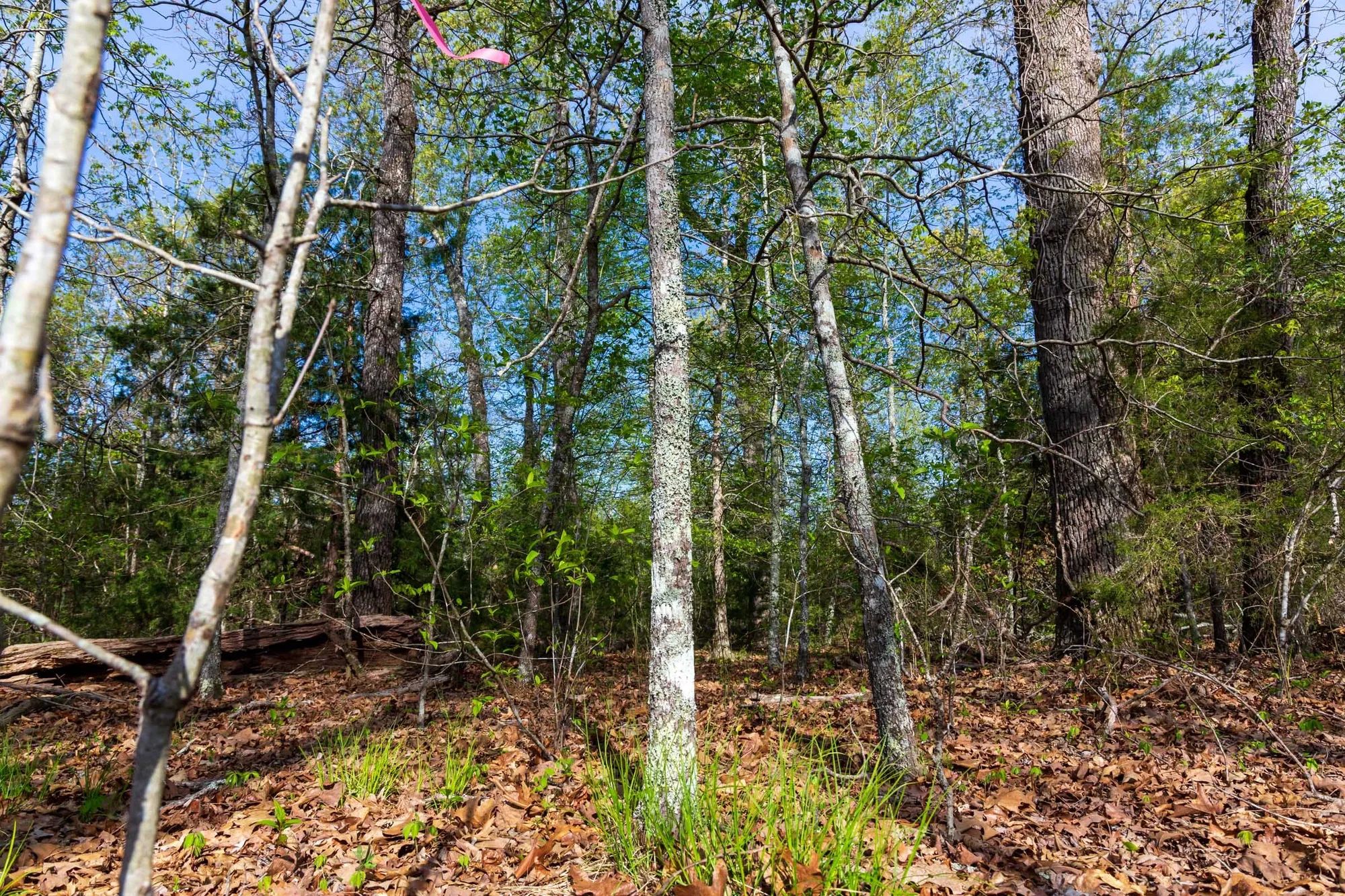 Autumnwood Tract 13 in Fulton County, AR