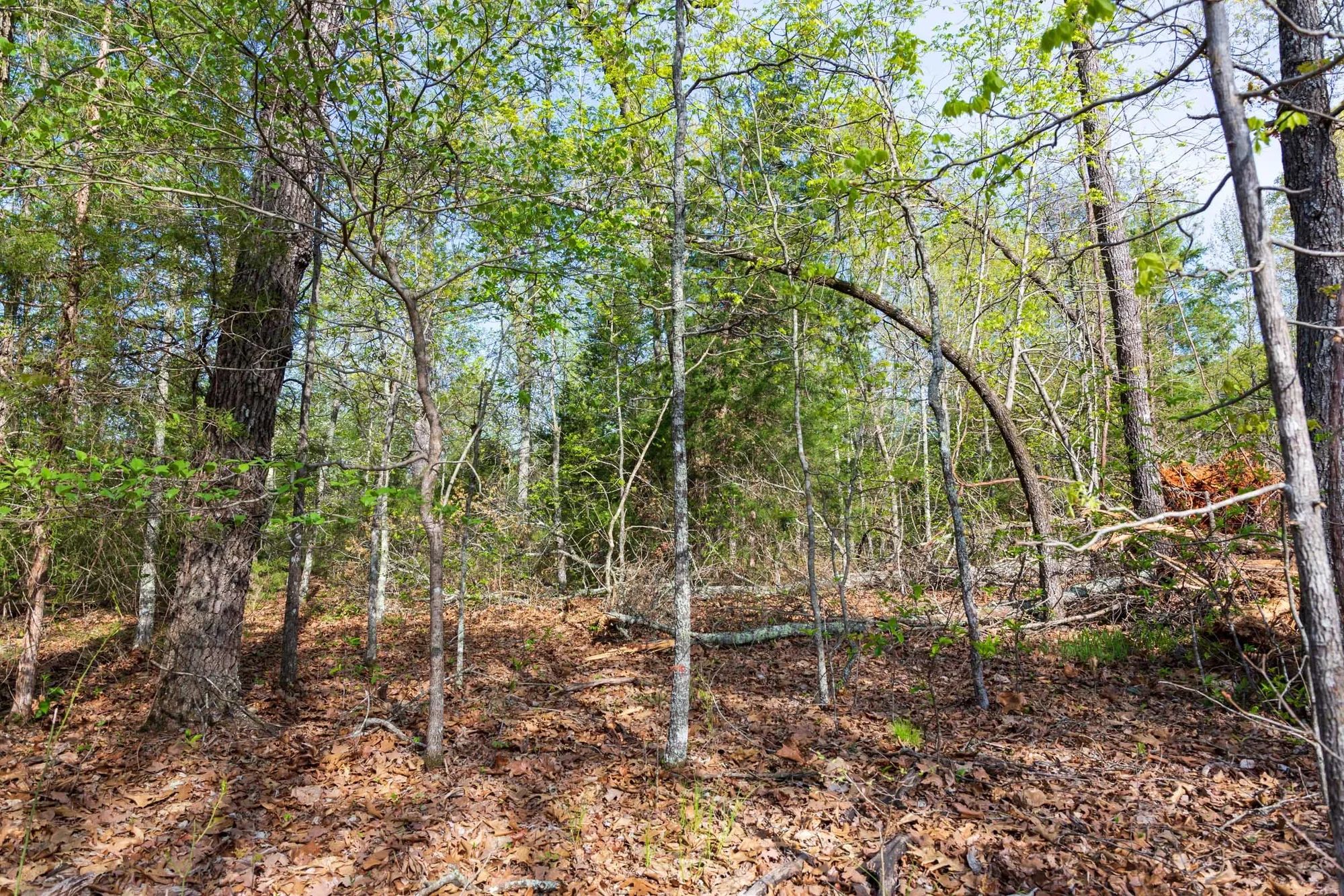 Autumnwood Tract 13 in Fulton County, AR