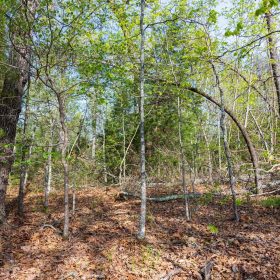Autumnwood Tract 13 in Fulton County, AR