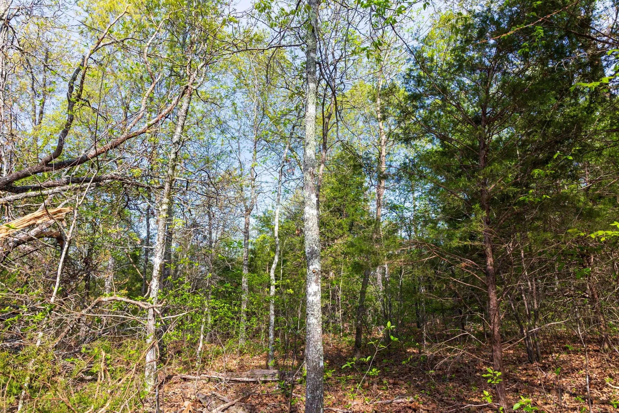 Autumnwood Tract 13 in Fulton County, AR