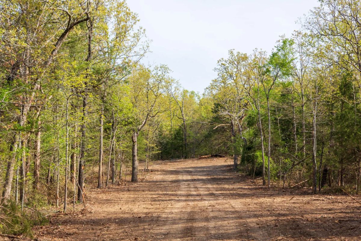 Decorative background for Autumnwood Tract 13 image 15