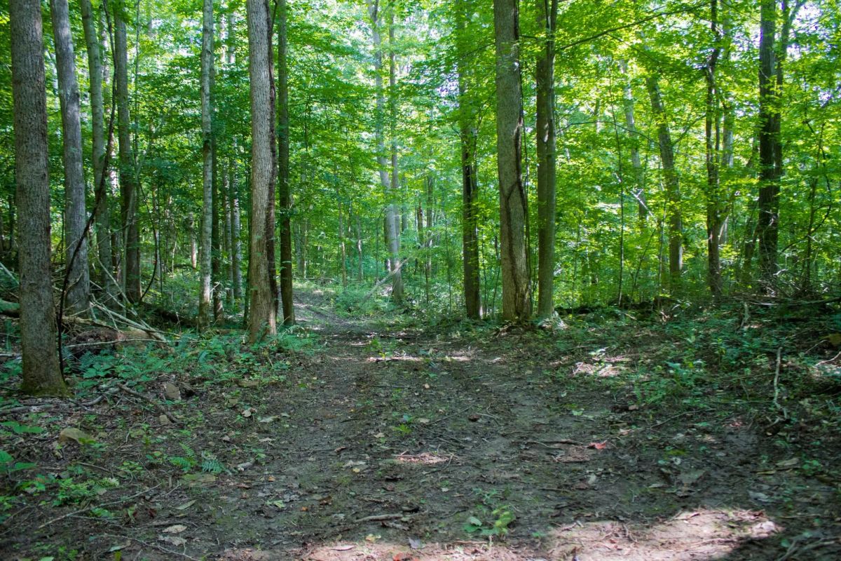 Bluewater Ridge Tract 16 - Main image