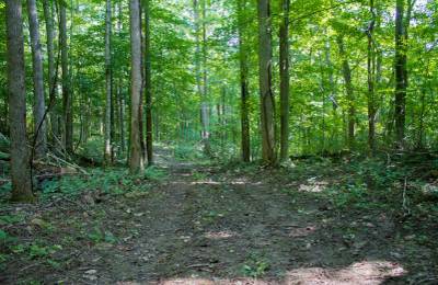 Bluewater Ridge Tract 16