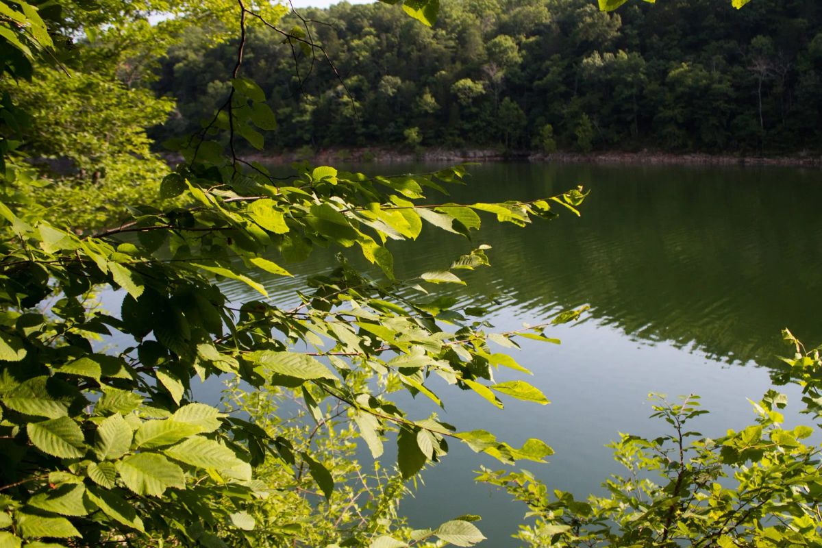 Bluewater Ridge Tract 16 - Image 3