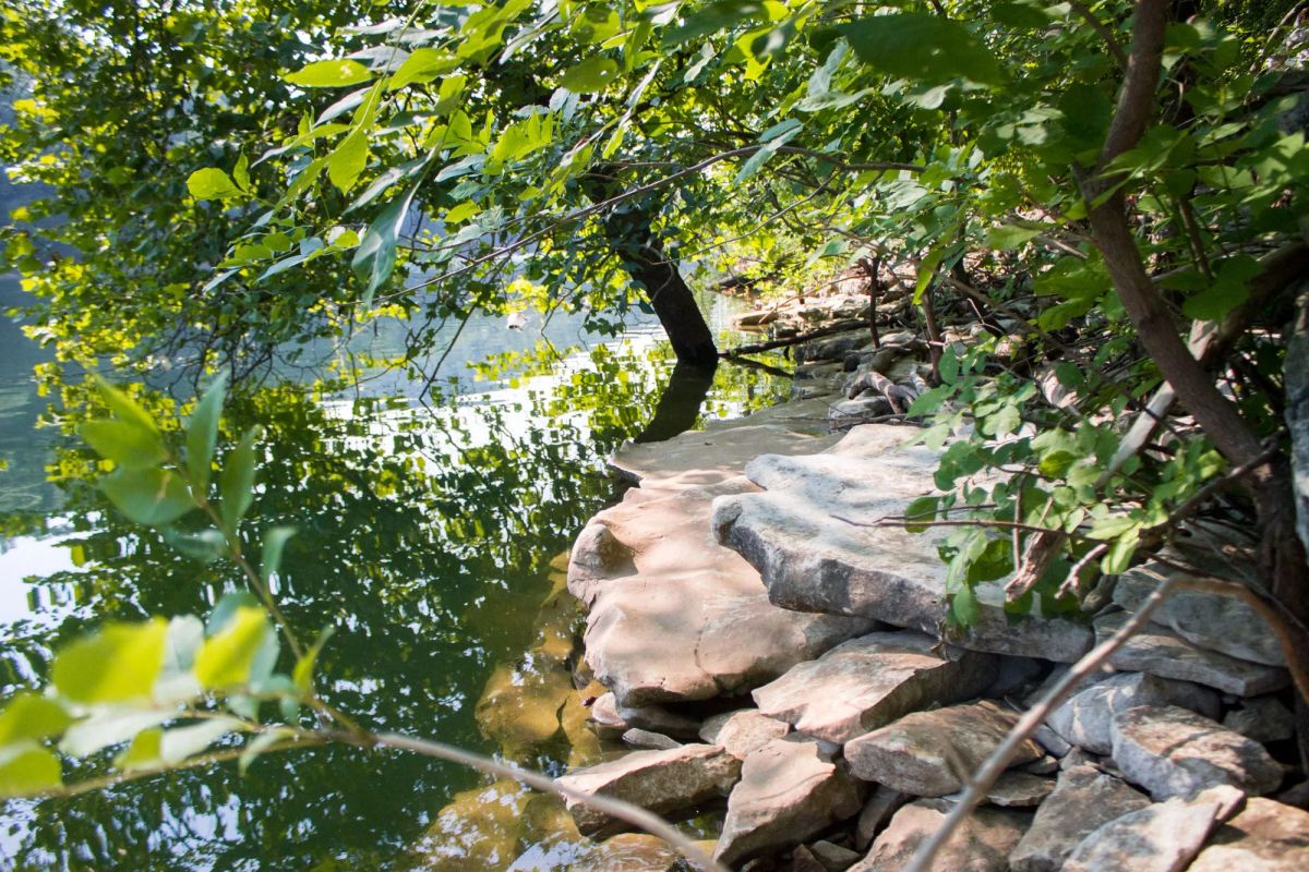 Decorative background for Bluewater Ridge Tract 16 image 6