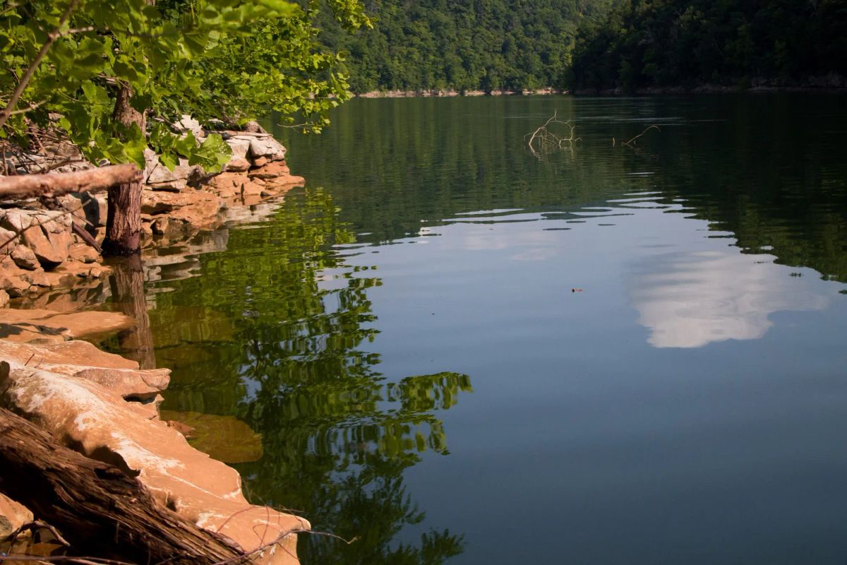 Decorative background for Bluewater Ridge Tract 16 image 10