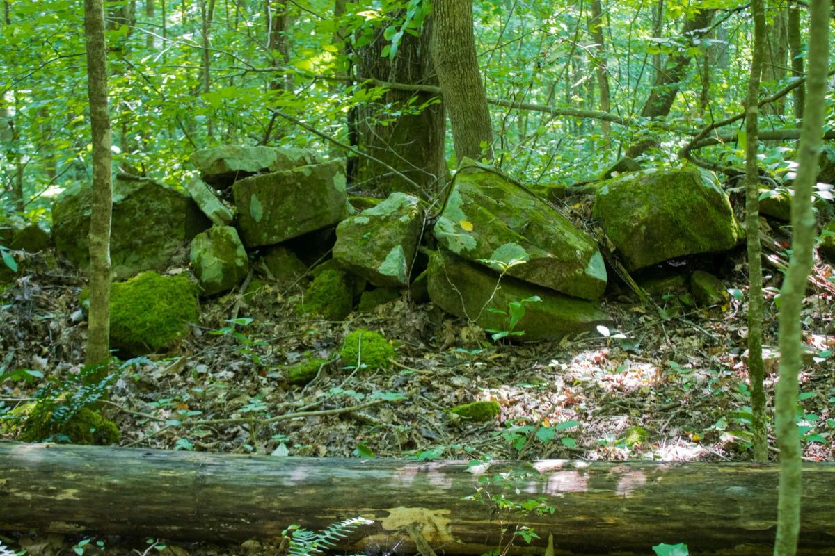 Decorative background for Bluewater Ridge Tract 16 image 14