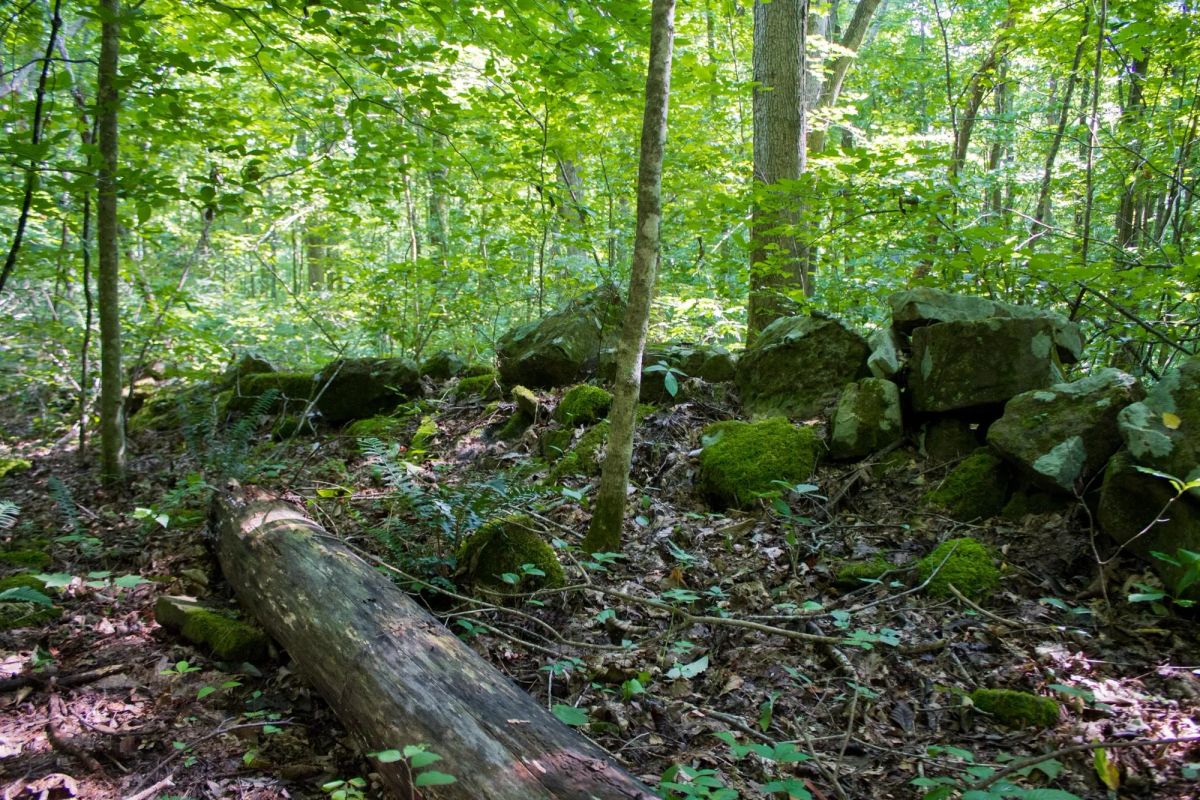 Decorative background for Bluewater Ridge Tract 16 image 15