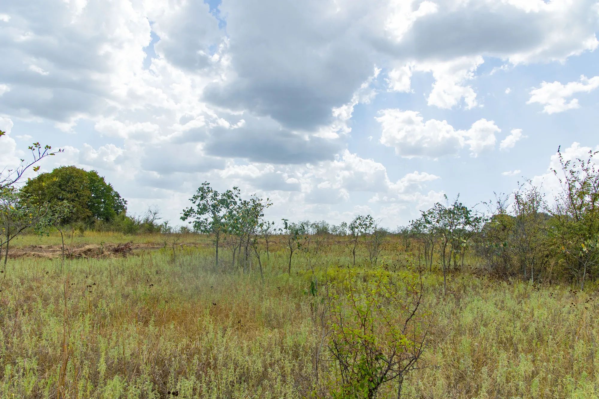 Gracyn Meadows Tract 4 in Okfuskee County, OK