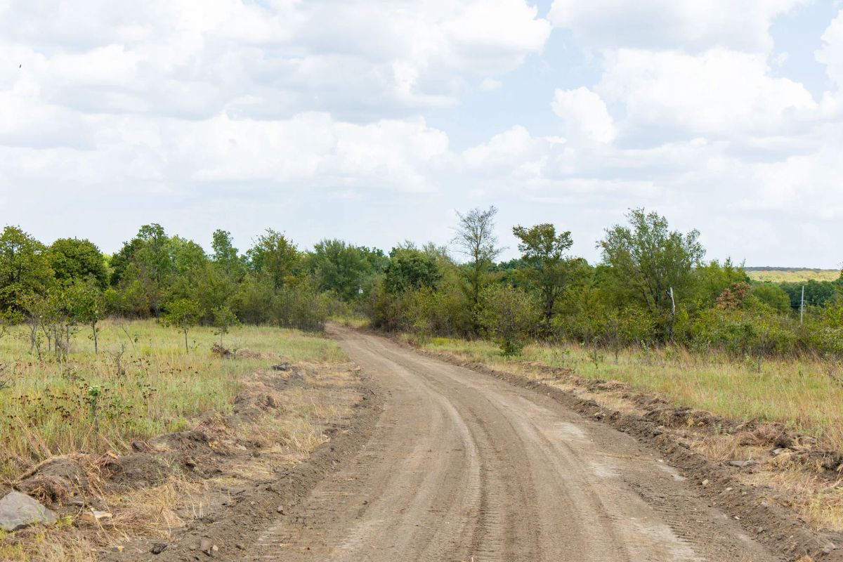 Decorative background for Gracyn Meadows Tract 4 image 5
