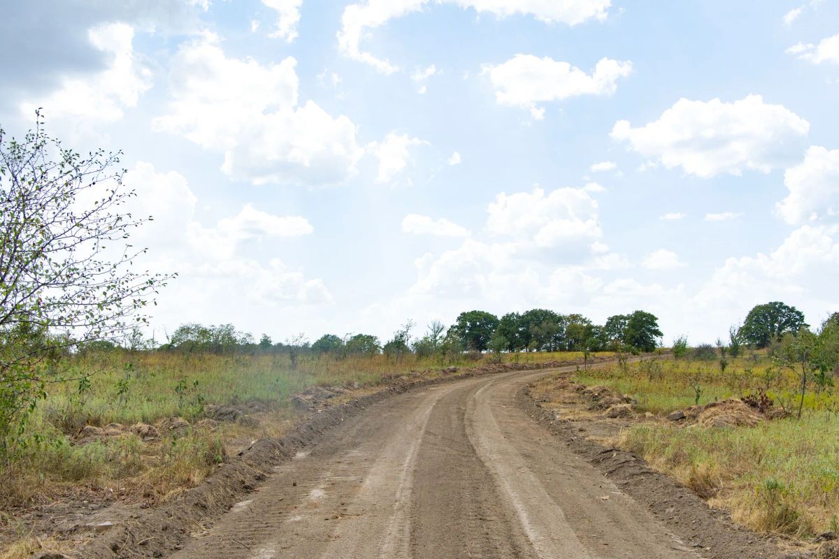 Decorative background for Gracyn Meadows Tract 4 image 6
